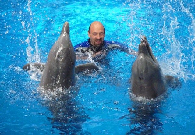 delfín_4