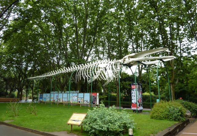zoo_5