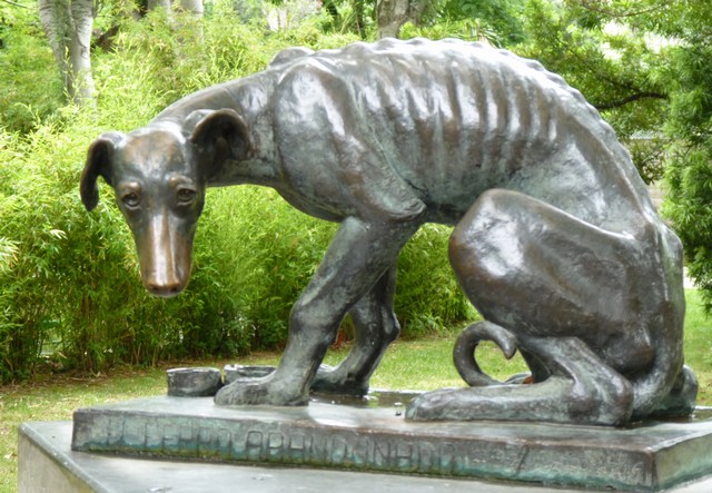 zoo_6